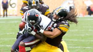 brandon polamalu